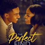 Mükemmel Fikir - The Perfect Find (2023)