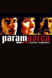 Paramparça Aşklar Köpekler – Amores perros (2000)