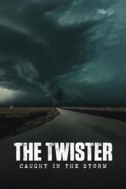 Joplin Kasırgası: Felaketin Bilançosu – The Twister: Caught in the Storm (2025)