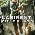 Labirent: Ölümcül Kaçış - The Maze Runner (2014)