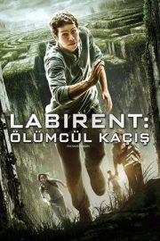 Labirent: Ölümcül Kaçış – The Maze Runner (2014)