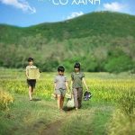 Sarı Çiçekler - Tôi Thấy Hoa Vàng Trên Cỏ Xanh (2015)