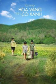 Sarı Çiçekler – Tôi Thấy Hoa Vàng Trên Cỏ Xanh (2015)