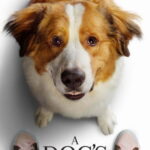 Dostumun Yolculuğu - A Dog's Journey (2019)