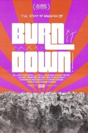 BURN IT DOWN! – BURN IT DOWN! (2021)