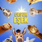 Cesur Eşek - The Star (2017)
