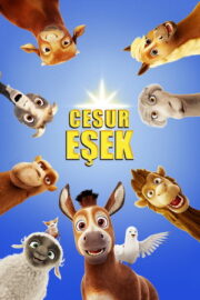 Cesur Eşek – The Star (2017)