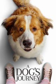Dostumun Yolculuğu – A Dog’s Journey (2019)