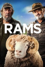 İnatçılar – Rams (2020)
