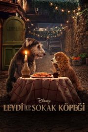Lady ile Sokak Köpeği – Lady and the Tramp (2019)