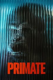 Primat – Primate (2026)