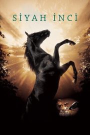 Siyah İnci – Black Beauty (2020)