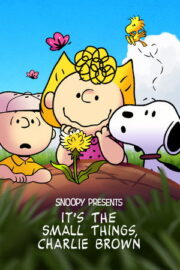 Snoopy Presents: It’s the Small Things, Charlie Brown – Snoopy Presents: It’s the Small Things, Charlie Brown (2022)